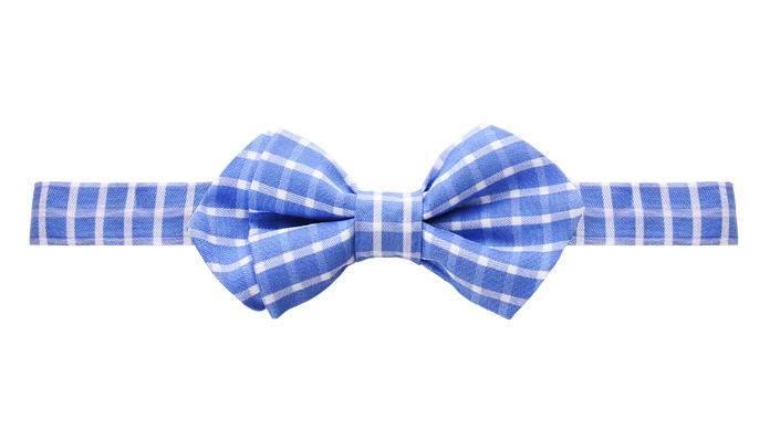 Bräutigamaccessoires Fliege, sportlich modern, weiß-blau kariert